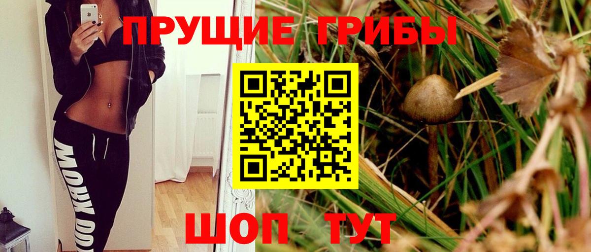 Сергиев Посад  Псилоцибиновые грибы мухоморы  Вход с VPN 